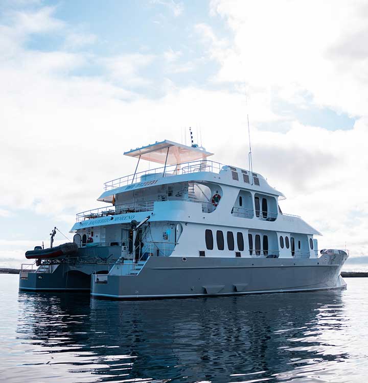 alya catamaran view exterior