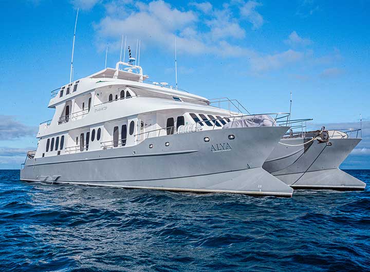 Exterior view alya catamaran