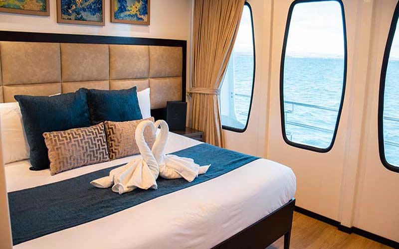 alya cabin matrimonial inspire in Galapagos