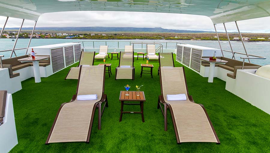 experience in the solarium for relax galaxy cruise to Galapagos