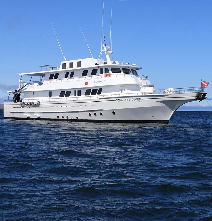 galaxy diver yate travel Cruise to Galapagos