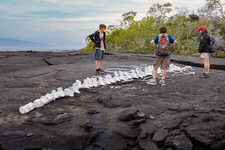 Galapagos Islands Hiking & Trekking