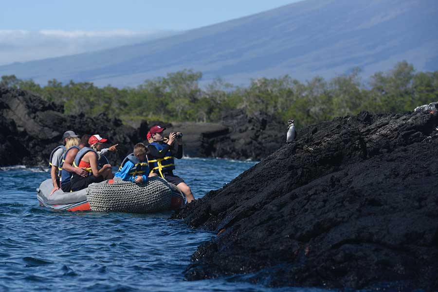 experience panga ride cruise to galapagos Galaxy Diver Yacht