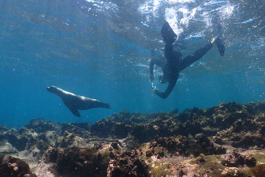 Best Places for Snorkeling in Galapagos - Cruise Galaxy Diver