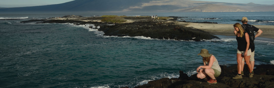 Galapagos Isabela