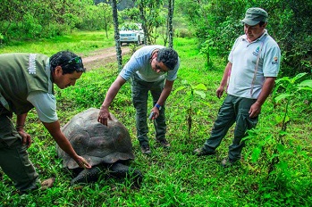Galapagos National Park