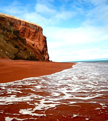 Galapagos Islands: Rabida Islands